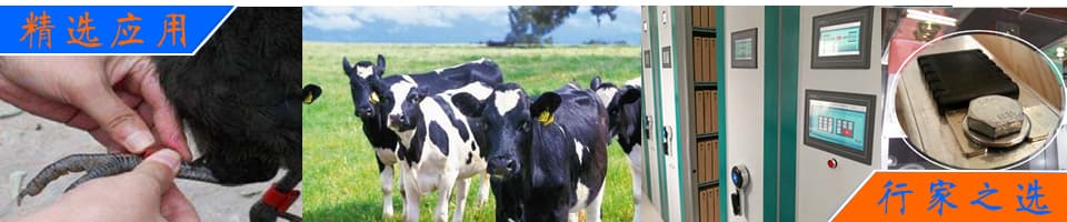 新癸酸鋅 cas 27253-29-8作為輔助催化劑在制備高回彈聚氨酯軟泡中的應(yīng)用